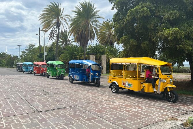 Tuk-Tuk Adventures Rainforest and Beach Hopping Tour - Riding through Fig Tree Drive