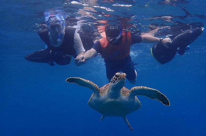 Turtle Beach Power Snorkeling Adventure - A small group with a strong safety focus