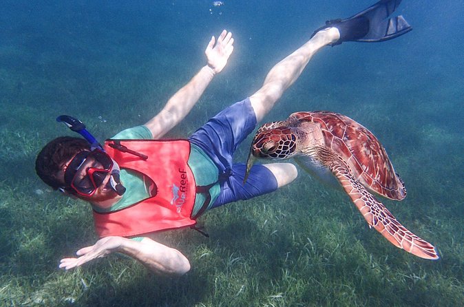 Under the Sea snorkeling(Stingray/Kayak/ Power Snorkel available) - Long Bay: Beach Time With an Extra Equipment Cost